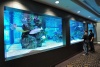 25,000 Gallon Tropical Marine Aquarium with Sharks, New York, USA